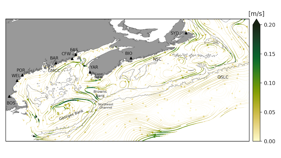Dynamical Downscaling and Regional Ocean Dynamics | Christoph Renkl