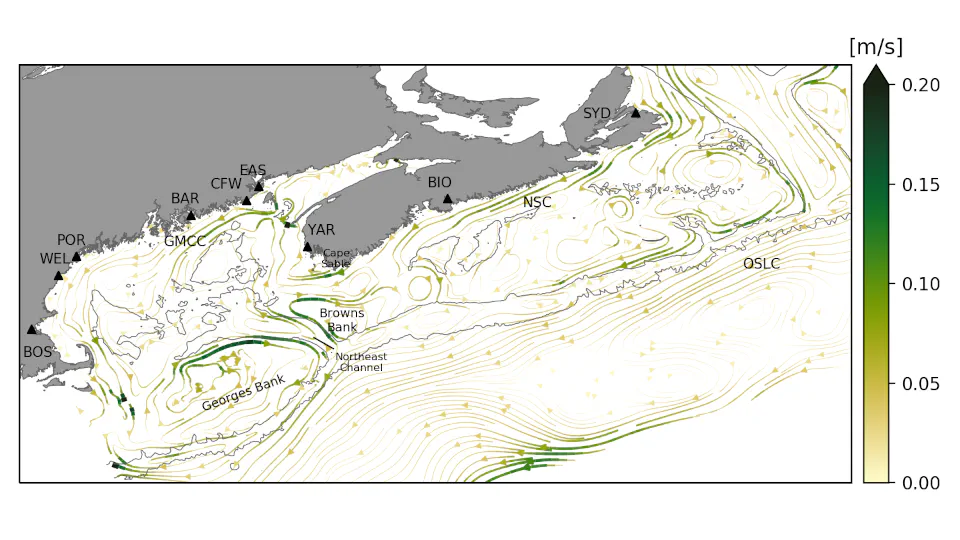 Dynamical Downscaling and Regional Ocean Dynamics